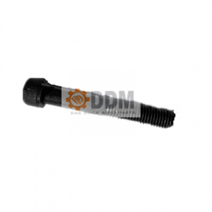 Hex socket screw